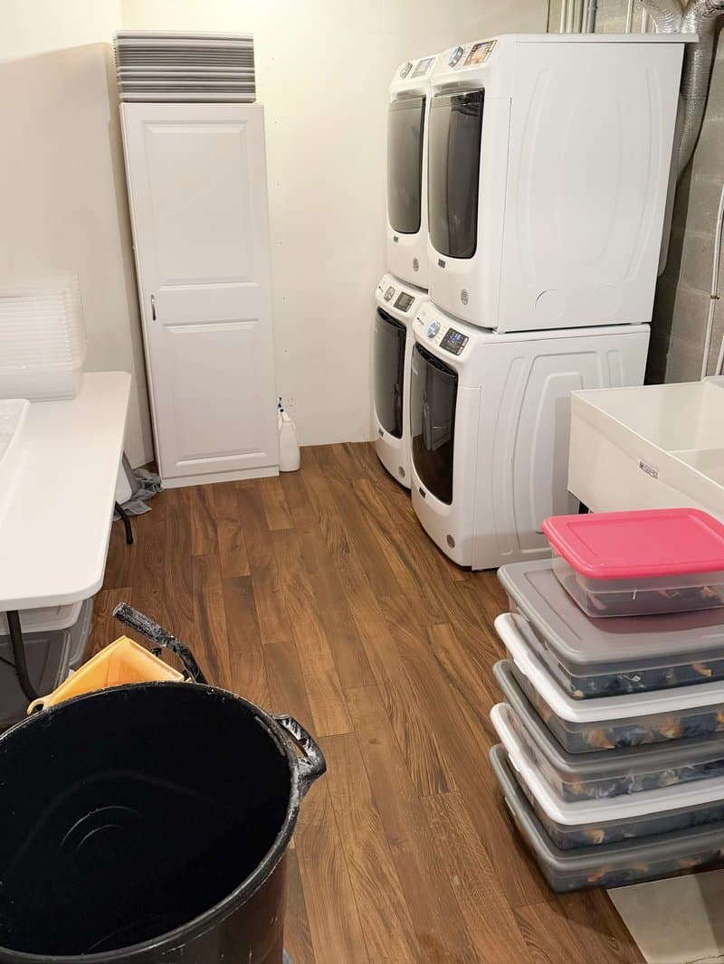 Floorboard Findings dye studio with stacked washers, dryers, dye bins, and buckets